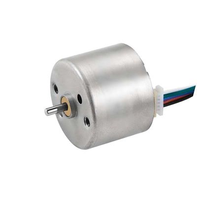 12V 24mm fırçasız DC motor saç kıvrımları ve tıbbi ekipman için BLDC motor