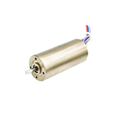 16mm Sensörsüz Fırçasız Motor Slotsuz Motor24V 10W 20W 18900rpm özelleştirilebilir