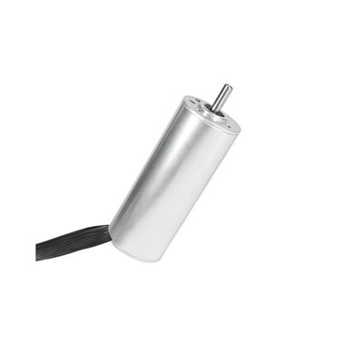 24 mm Ironless DC Motor 12V 40W 14150rpm Taşınabilir Elektronik için özelleştirilebilir