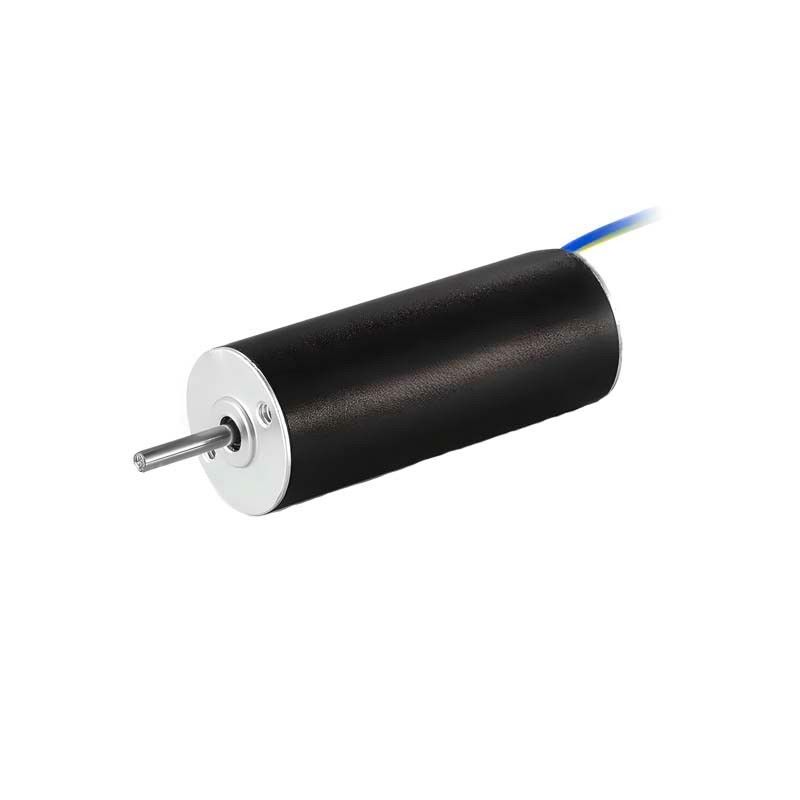 Özel Slotless Brushless Motor 12mm 6.5W 25310rpm Coreless DC Motor Tıbbi Pompalar için