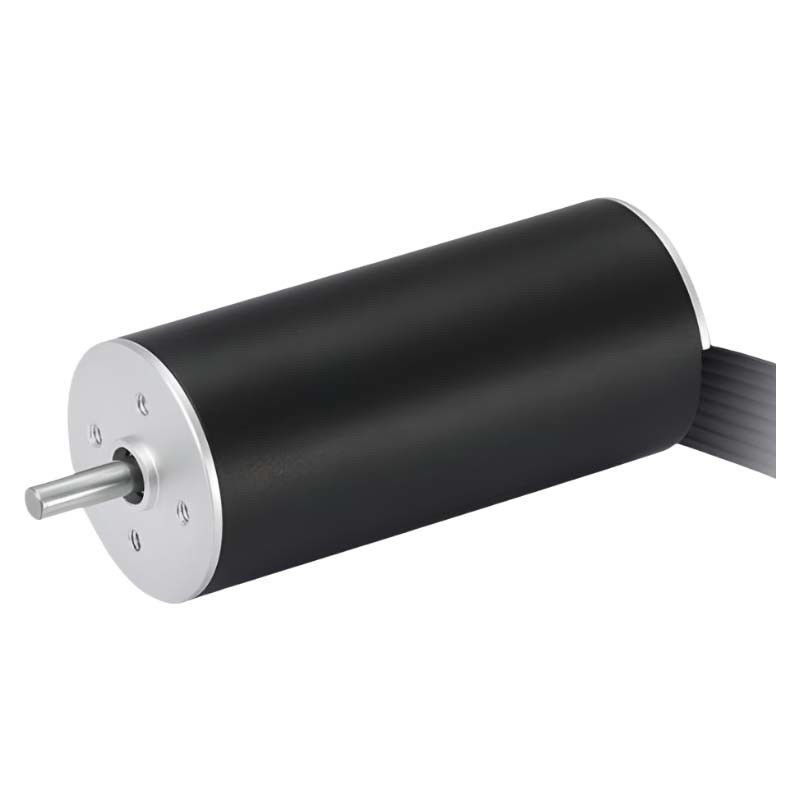 Yüksek Hızlı 22mm Slotless Brushless Motor 48V Coreless BLDC Motor 22W 13641rpm